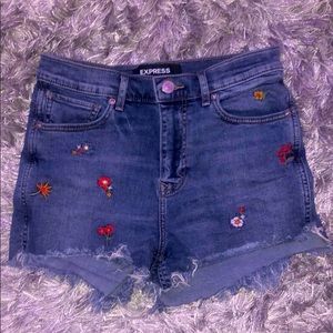 Express embroidered shorts
